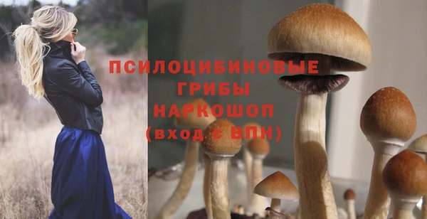 твердый Осинники